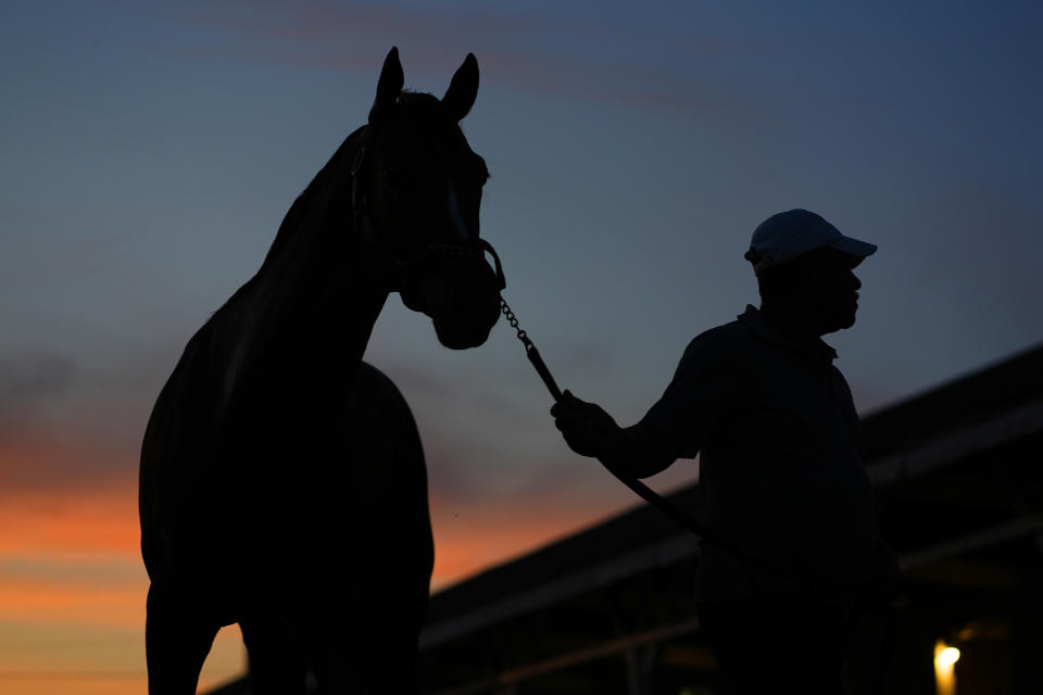 A horse is led to it's stall after an early-morning workout at Churchill Downs Monday, April 29, 2024, in Louisville, Ky. The 150th running of the Kentucky Derby is scheduled for Saturday, May 4. (AP Photo/Charlie Riedel)