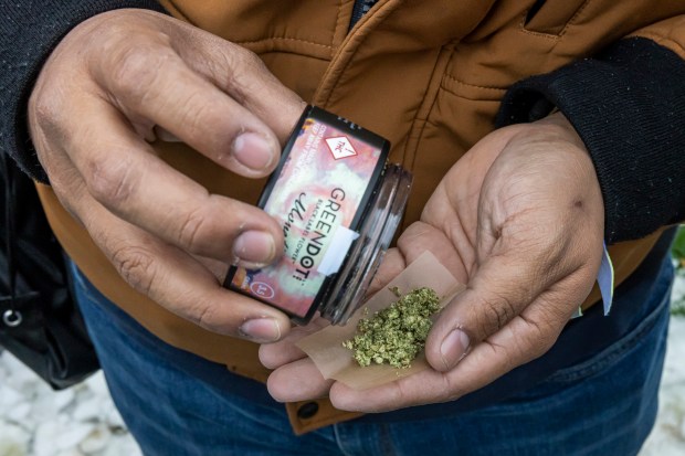 A man pours cannabis into rolling papers as he prepares to roll a joint the Mile High 420 Festival in Civic Center Park in Denver, April 20, 2024. (Photo by Kevin Mohatt/Special to The Denver Post)