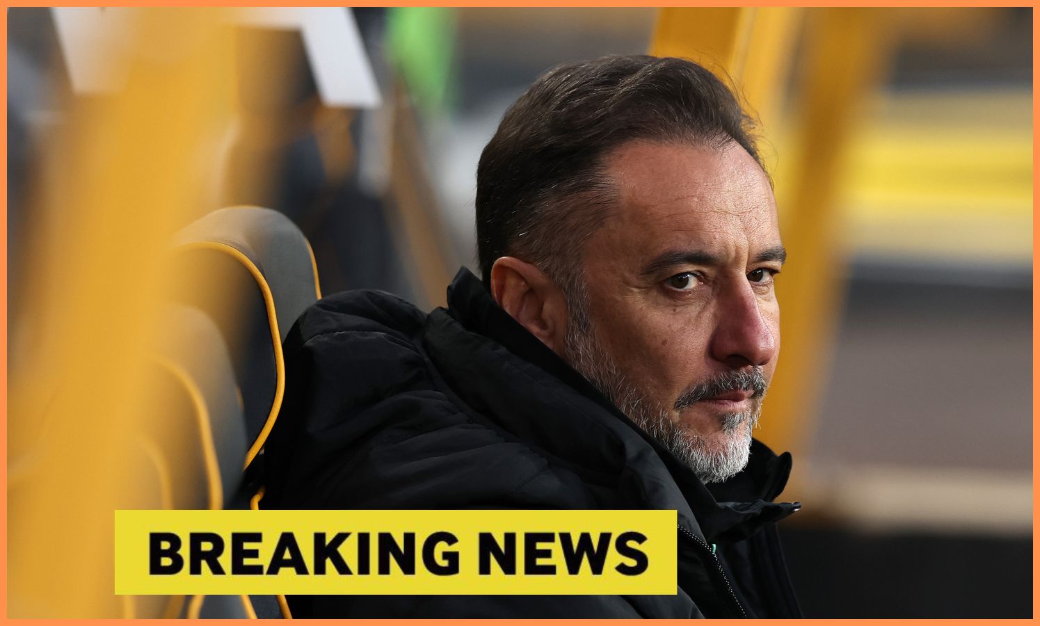 Wolves manager Vitor Pereira