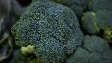 1713045522 broccoli recall