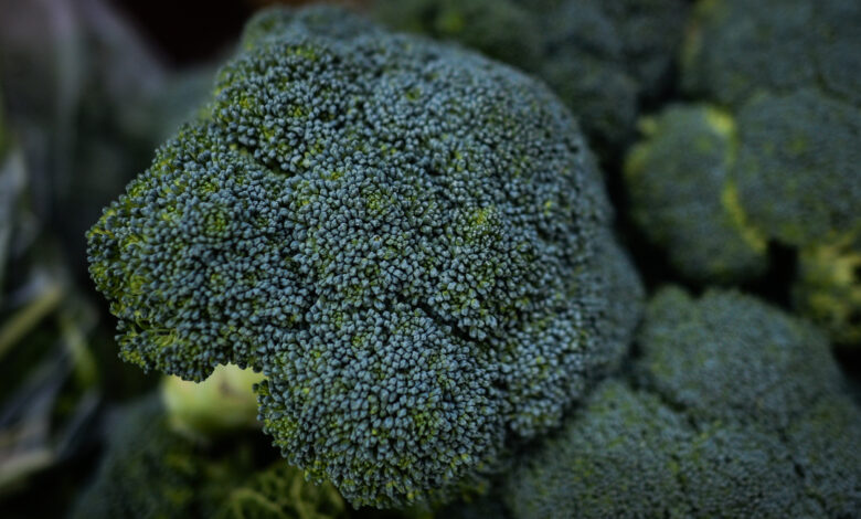 1713045522 broccoli recall