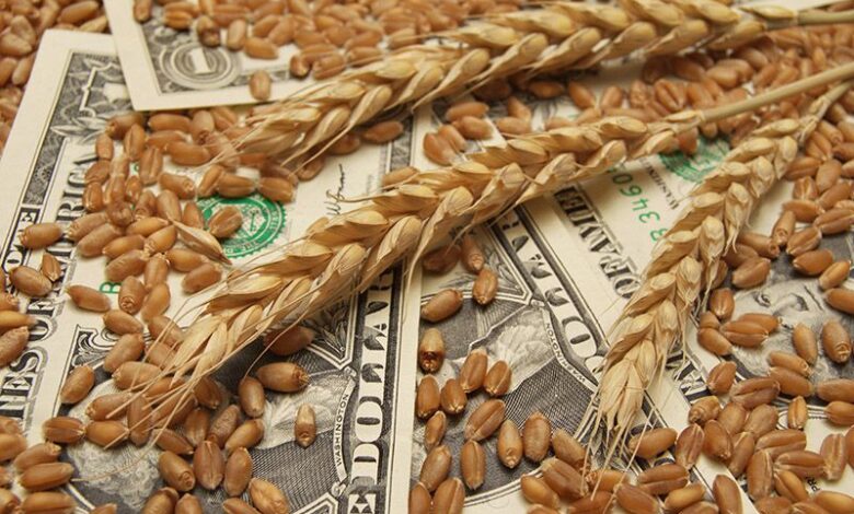 wheat money close up a30e27225d8e4578bbb92ccd8450f201