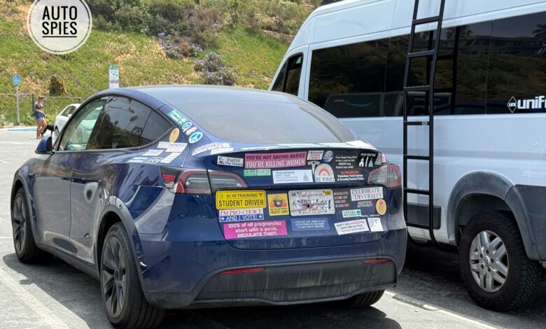 SPIED! WHAT Are The Chances THIS Tesla Was Purchased BEFORE Elon Endorsed Trump And DOGE? There ARE Clues.. 1 SPIED WHAT Are The Chances THIS Tesla Was Purchased BEFORE