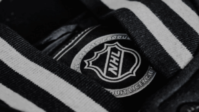Screenshot 2025 01 09 at 16 26 56 A black and white striped shirt with a badge on it photo – Free Gr