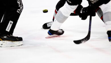 hockey skate puck view