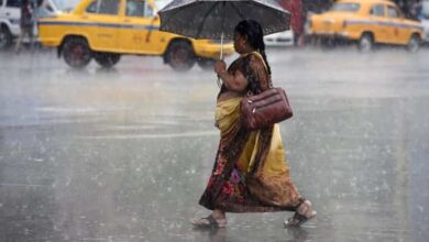 377017 rain 1 ians