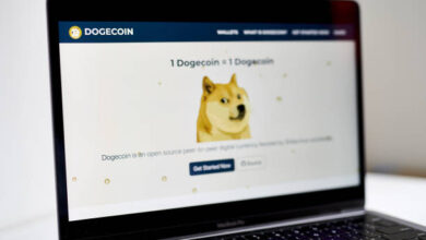 Dogecoin from Getty Images 31