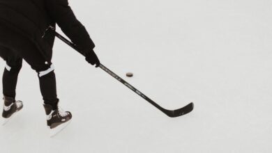 hockey stick puck